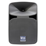 اسپیکر باند پسیو 15 اینچ 700 وات اکو چنگ اس آر ایکس SRX14 1