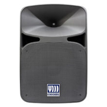 اسپیکر باند پسیو 15 اینچ 700 وات اکو چنگ اس آر ایکس SRX14