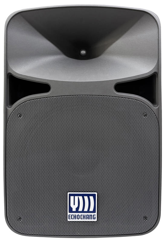 اسپیکر باند پسیو 15 اینچ 700 وات اکو چنگ اس آر ایکس SRX14