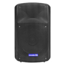 اسپیکر باند پسیو 15 اینچ 500 وات اکو چنگ زد ایکس ZX15