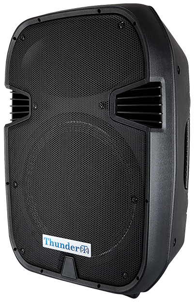 اسپیکر باند پسیو 12 اینچ 350 وات تندر الکترونیک پی اس PS-12