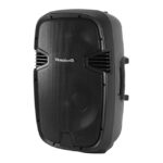 باند پسیو تندر الکترونیک مدل PS2 12 PRO X