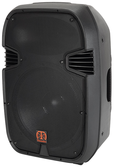 اسپیکر باند پسیو 15 اینچ تندر الکترونیک پی اس تو PS2-15 1 اسپیکر باند پسیو 15 اینچ تندر الکترونیک پی اس تو PS2-15