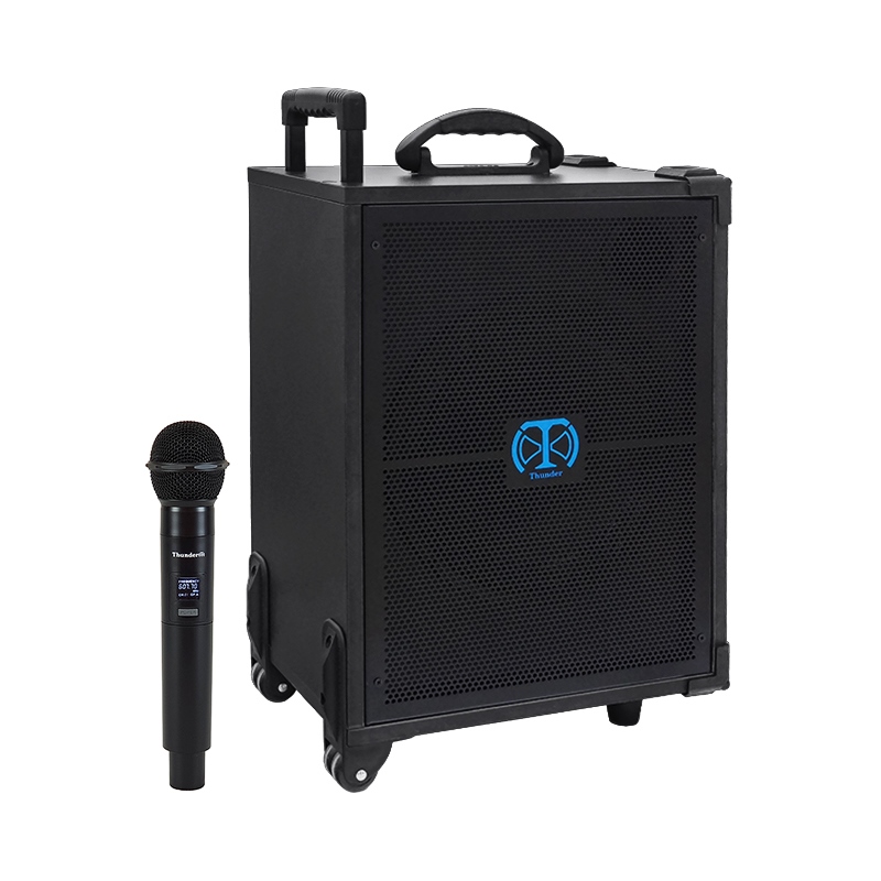 اکو همراه پرتابل 12 اینچ بزرگ شارژی تندر الکترونیک TE-400R