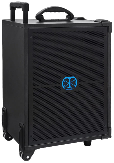 اکو همراه پرتابل 12 اینچ بزرگ شارژی تندر الکترونیک TE-400R